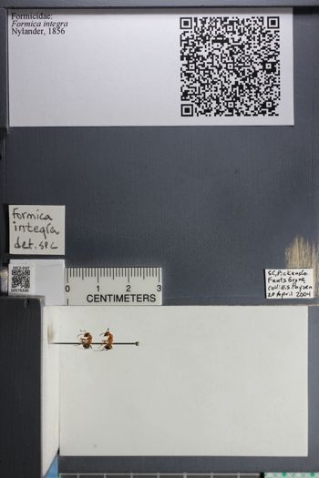 Media type: image;   Entomology 576326
